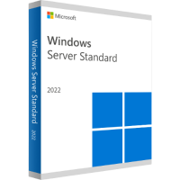 Windows Server Standard 2022 Lifetime Key