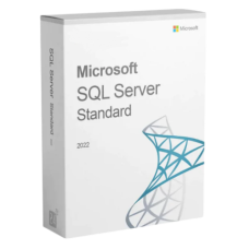 SQL Server Standard 2022 Lifetime Key
