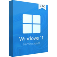 Windows 11 Professional 5 Users Lifetime Key
