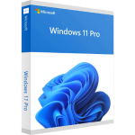 Windows 11 Professional Lifetime Key