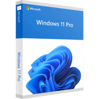 Windows 11 Professional Lifetime Key
